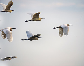 Picture for category Leadership